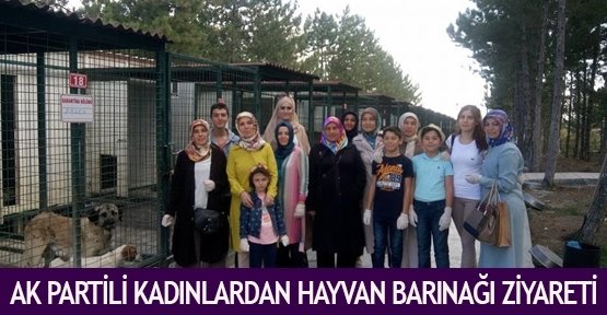 AK Partili kadınlardan hayvan barınağı ziyareti