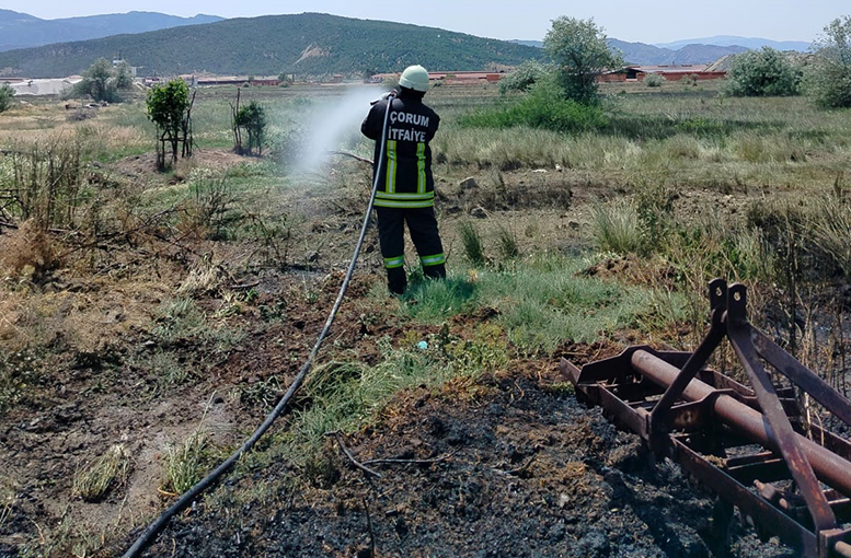 Arazide korkutan yangın