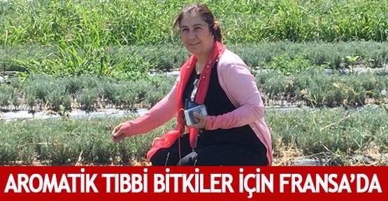 Aromatik Tıbbi Bitkiler için Fransa’da