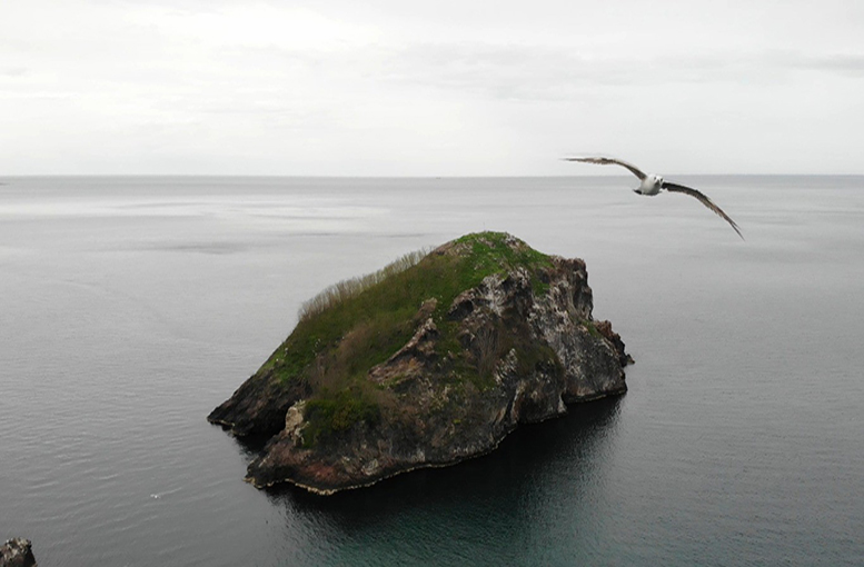 Burası Kuş Cenneti