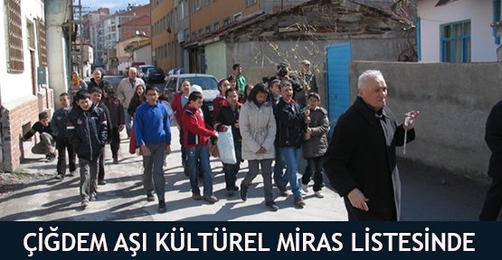 Çiğdem aşı kültürel miras listesinde