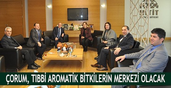 Çorum, Tıbbi aromatik bitkilerin merkezi olacak