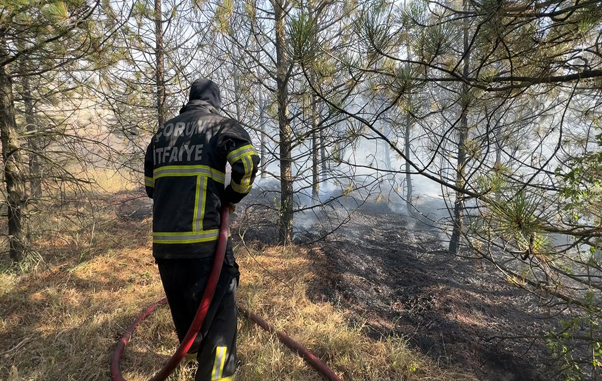 Çorum'a hayati uyarı