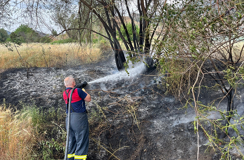 Çorum'da arazi yangını