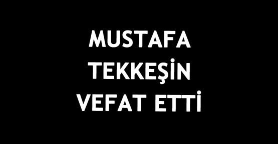  Emektar arzuhalci Mustafa Tekkeşin vefat etti