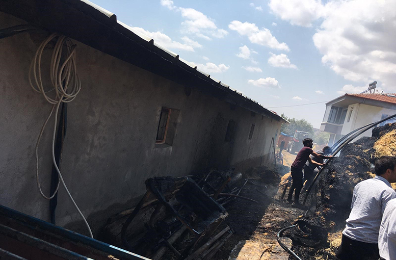 Köyde yangın çıktı