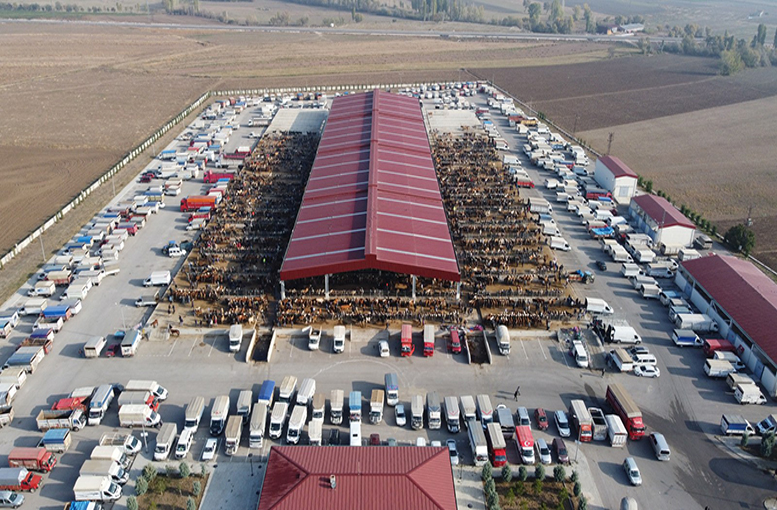 O illerde hayvan pazarları yeniden açıldı