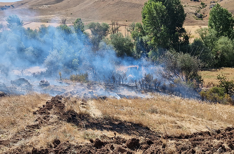 Yangında 3 ev ve 160 dönüm arazi zarar gördü, 2 gözaltı
